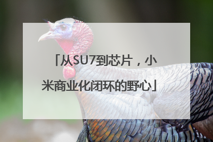从SU7到芯片，小米商业化闭环的野心