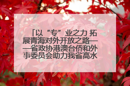 以“专”业之力 拓展青海对外开放之路——省政协港澳台侨和外事委员会助力我省高水平开放和高质量发展