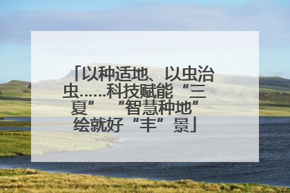 以种适地、以虫治虫……科技赋能“三夏” “智慧种地”绘就好“丰”景