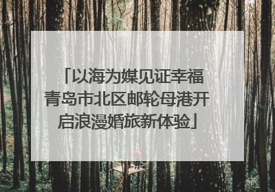 以海为媒见证幸福 青岛市北区邮轮母港开启浪漫婚旅新体验