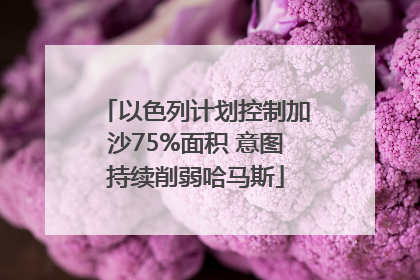 以色列计划控制加沙75%面积 意图持续削弱哈马斯