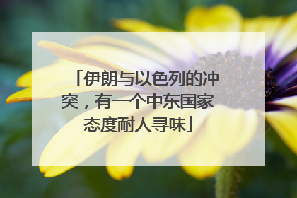 伊朗与以色列的冲突，有一个中东国家态度耐人寻味