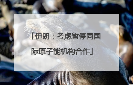 伊朗：考虑暂停同国际原子能机构合作