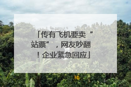 传有飞机要卖“站票”，网友吵翻！企业紧急回应
