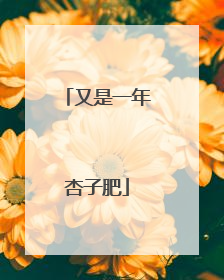 又是一年杏子肥