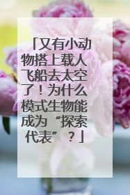 又有小动物搭上载人飞船去太空了！为什么模式生物能成为“探索代表”？