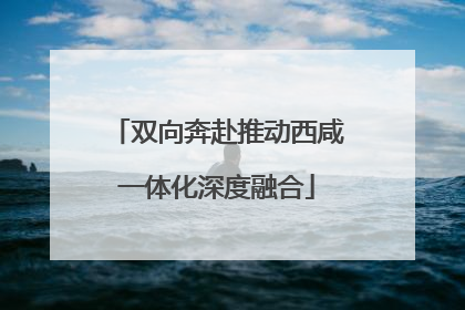双向奔赴推动西咸一体化深度融合