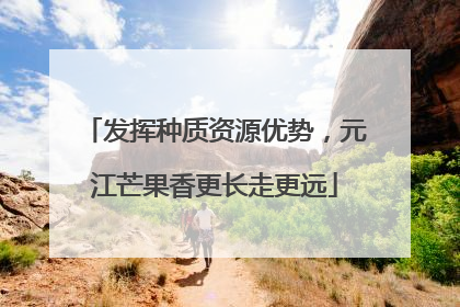 发挥种质资源优势，元江芒果香更长走更远