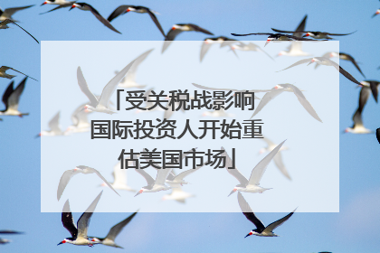受关税战影响 国际投资人开始重估美国市场