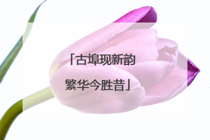 古埠现新韵 繁华今胜昔