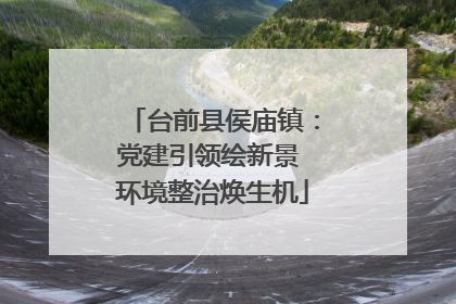 台前县侯庙镇：党建引领绘新景 环境整治焕生机