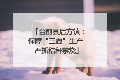 台前县后方镇：保障“三夏”生产 严抓秸秆禁烧