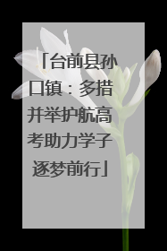 台前县孙口镇：多措并举护航高考助力学子逐梦前行
