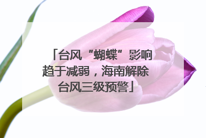 台风“蝴蝶”影响趋于减弱,海南解除台风三级预警