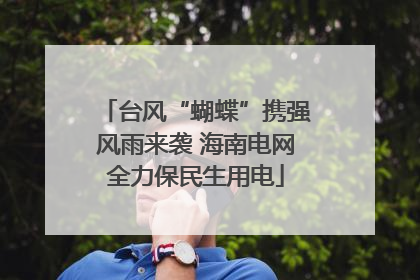 台风“蝴蝶”携强风雨来袭 海南电网全力保民生用电