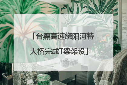 台黑高速绕阳河特大桥完成T梁架设