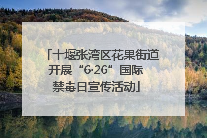 十堰张湾区花果街道开展“6·26”国际禁毒日宣传活动