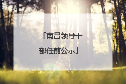 南昌领导干部任前公示