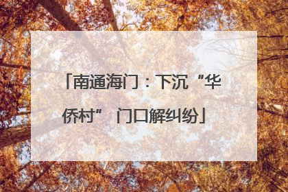 南通海门：下沉“华侨村” 门口解纠纷