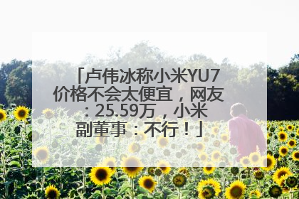 卢伟冰称小米YU7价格不会太便宜，网友：25.59万，小米副董事：不行！