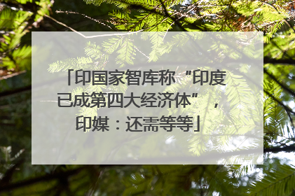印国家智库称“印度已成第四大经济体”，印媒：还需等等