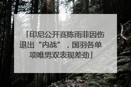 印尼公开赛陈雨菲因伤退出“内战”，国羽各单项唯男双表现差劲
