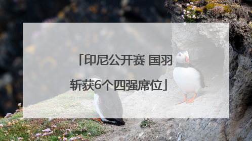 印尼公开赛 国羽斩获6个四强席位