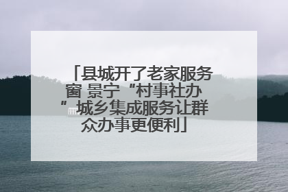 县城开了老家服务窗 景宁“村事社办”城乡集成服务让群众办事更便利