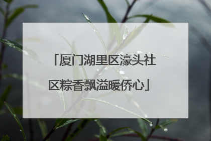 厦门湖里区濠头社区粽香飘溢暖侨心