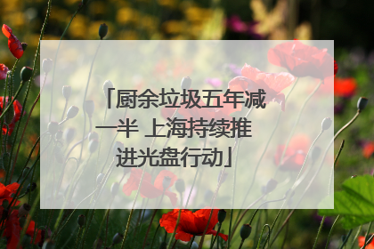 厨余垃圾五年减一半 上海持续推进光盘行动