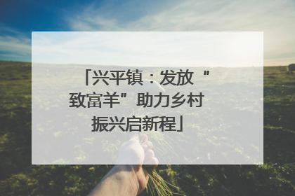 兴平镇：发放“致富羊”助力乡村振兴启新程