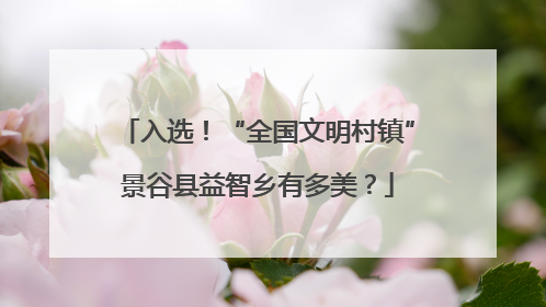 入选！“全国文明村镇”景谷县益智乡有多美？