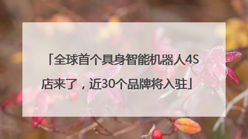 全球首个具身智能机器人4S店来了，近30个品牌将入驻