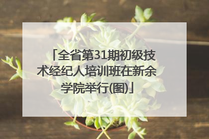 全省第31期初级技术经纪人培训班在新余学院举行(图)