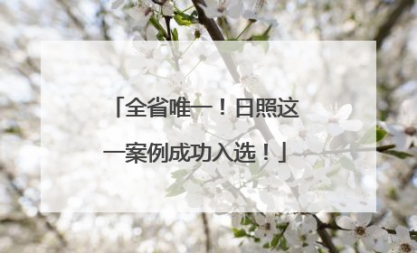 全省唯一！日照这一案例成功入选！