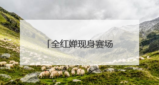 全红婵现身赛场！回应退赛原因