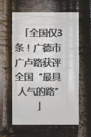 全国仅3条！广德市广卢路获评全国“最具人气的路”
