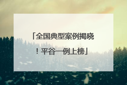 全国典型案例揭晓！平谷一例上榜