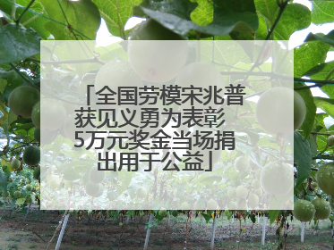 全国劳模宋兆普获见义勇为表彰 5万元奖金当场捐出用于公益