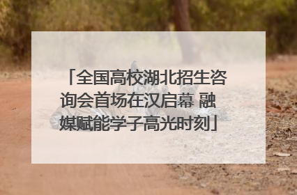 全国高校湖北招生咨询会首场在汉启幕 融媒赋能学子高光时刻