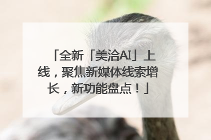 全新「美洽AI」上线，聚焦新媒体线索增长，新功能盘点！