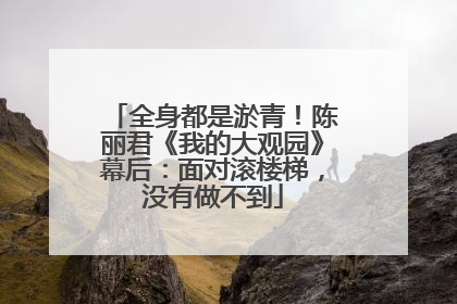 全身都是淤青！陈丽君《我的大观园》幕后：面对滚楼梯，没有做不到