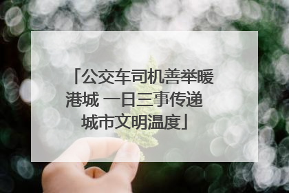 公交车司机善举暖港城 一日三事传递城市文明温度