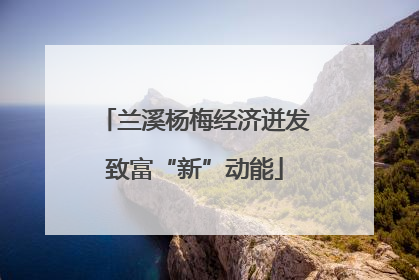 兰溪杨梅经济迸发致富“新”动能