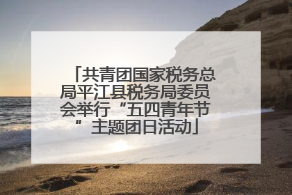 共青团国家税务总局平江县税务局委员会举行“五四青年节”主题团日活动