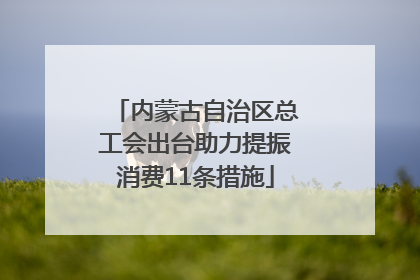 内蒙古自治区总工会出台助力提振消费11条措施