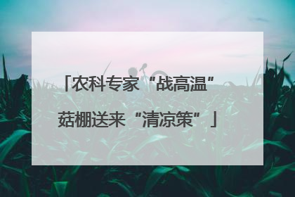 农科专家“战高温” 菇棚送来“清凉策”