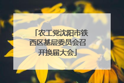 农工党沈阳市铁西区基层委员会召开换届大会