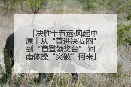 决胜十五运·风起中原丨从“首进决赛圈”到“首登领奖台” 河南体操“突破”何来
