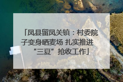 凤县留凤关镇：村委院子变身晒麦场 扎实推进“三夏”抢收工作
